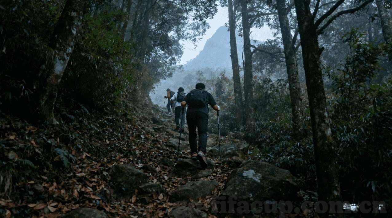 部落冲突下载九游-部落冲突下载九游，游戏爱好者的天堂